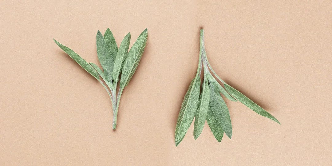 SAGE